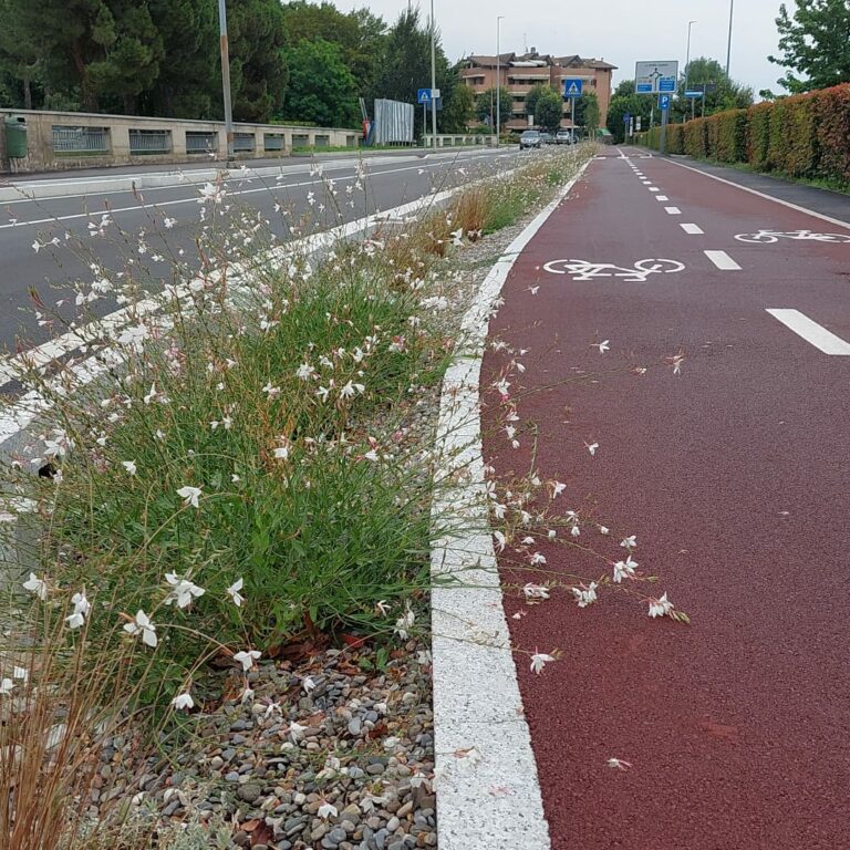 Sistemi di drenaggio urbano sostenibile (SUDS) e invarianza idraulica