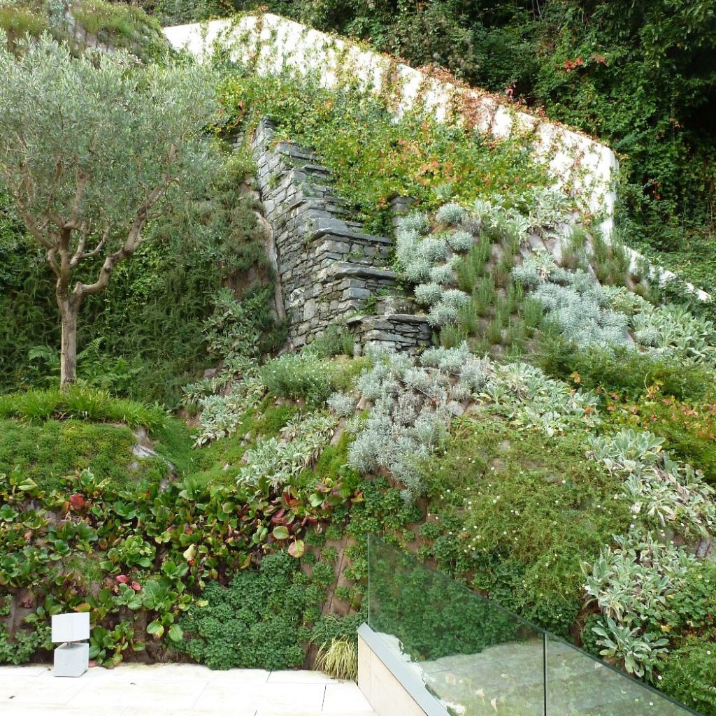 Architettura del verde, verde inclinato e pensile